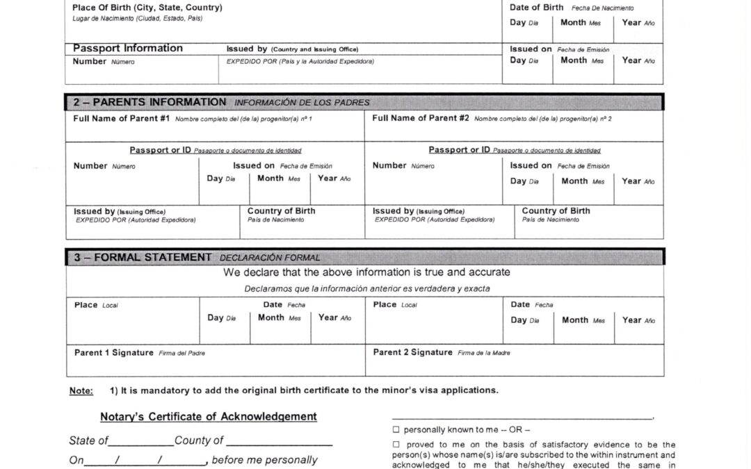 Brazil e-visa minors authorization issuance0334